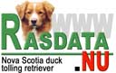 Information om Nova Scotia Duck Tolling retriever frn Rasdata.nu
